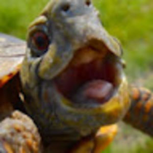 Meet your Posher, Jacob